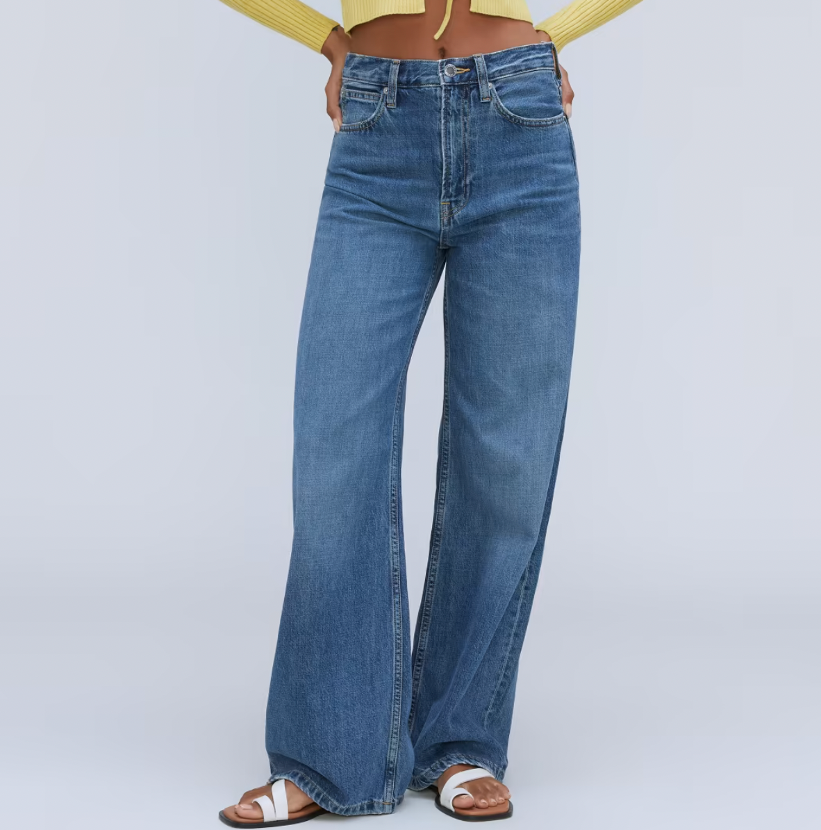 Everlane The Baggy Jean